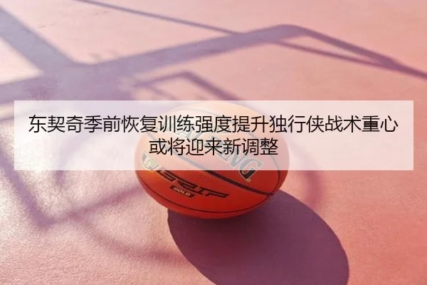 东契奇季前恢复训练强度提升独行侠战术重心或将迎来新调整
